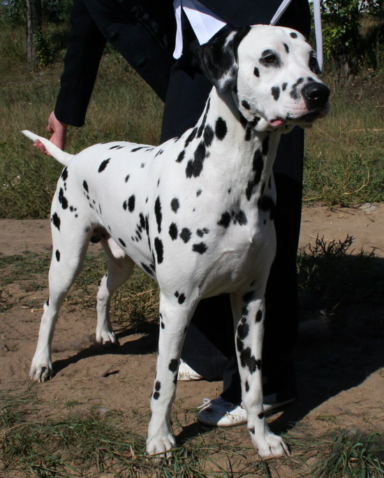 2 года
