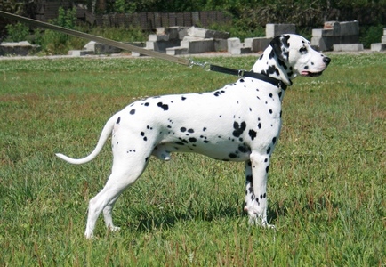 3 года